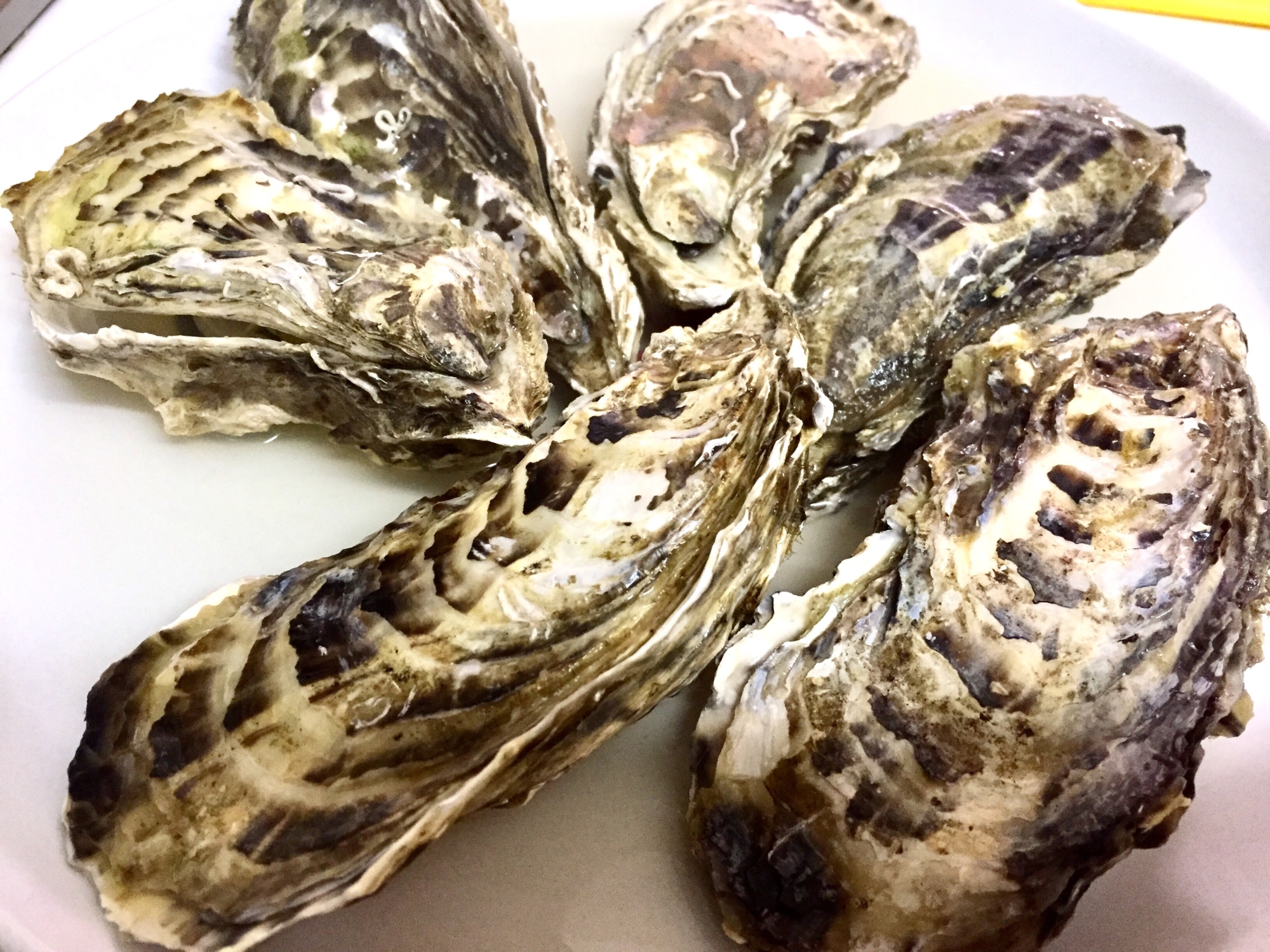 フライパンで簡単に作る牡蠣の酒蒸し