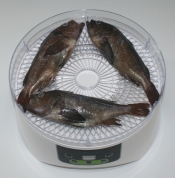 簡単 美味しい メバルの干物で煮付け レシピ 作り方 By 楽天出店店舗 ウミダスジャパン 楽天レシピ 簡単 美味しい メバルの干物で煮付け レシピ 作り方 By 楽天出店店舗 ウミダスジャパン 楽天レシピ