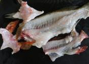アラを使って 絶品お魚スープ レシピ 作り方 By コッツウォルズハニー 楽天レシピ