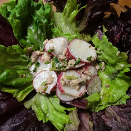 粒マスタードとレモンとの相性がよく、いつもとは違った味付けで楽しめました！また作りたいです！