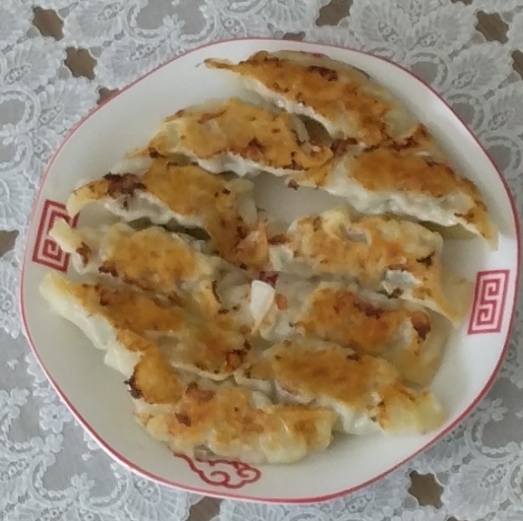 におわない⚠️にんにく・ニラ無しのシンプルねぎ餃子