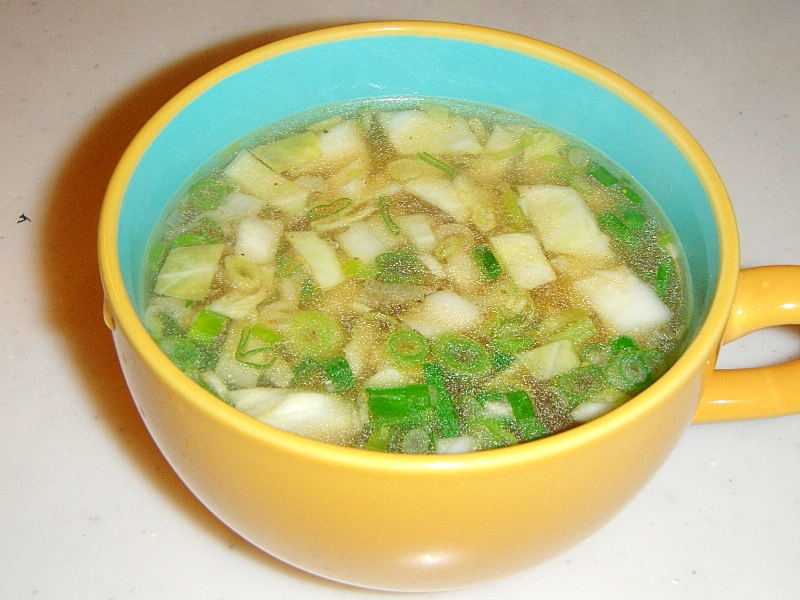 ベジブロスの野菜スープ