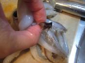 いかを丸ごと味わおう いかワタ鍋 レシピ 作り方 By グルヤマ 楽天レシピ いかを丸ごと味わおう いかワタ鍋 レシピ 作り方 By グルヤマ 楽天レシピ