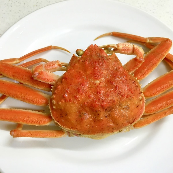 せいこ蟹の食べ方 越前蟹のメス レシピ 作り方 By ケイヤ5621キエ 楽天レシピ せいこ蟹の食べ方 越前蟹のメス レシピ 作り方 By ケイヤ5621キエ 楽天レシピ