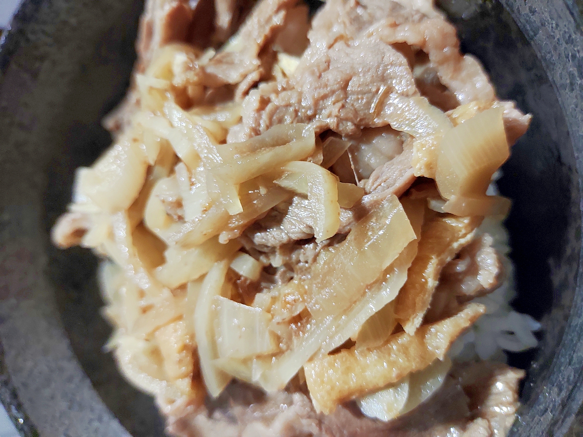 牛肉と油揚げの丼