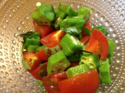 自家製夏野菜の簡単サラダ