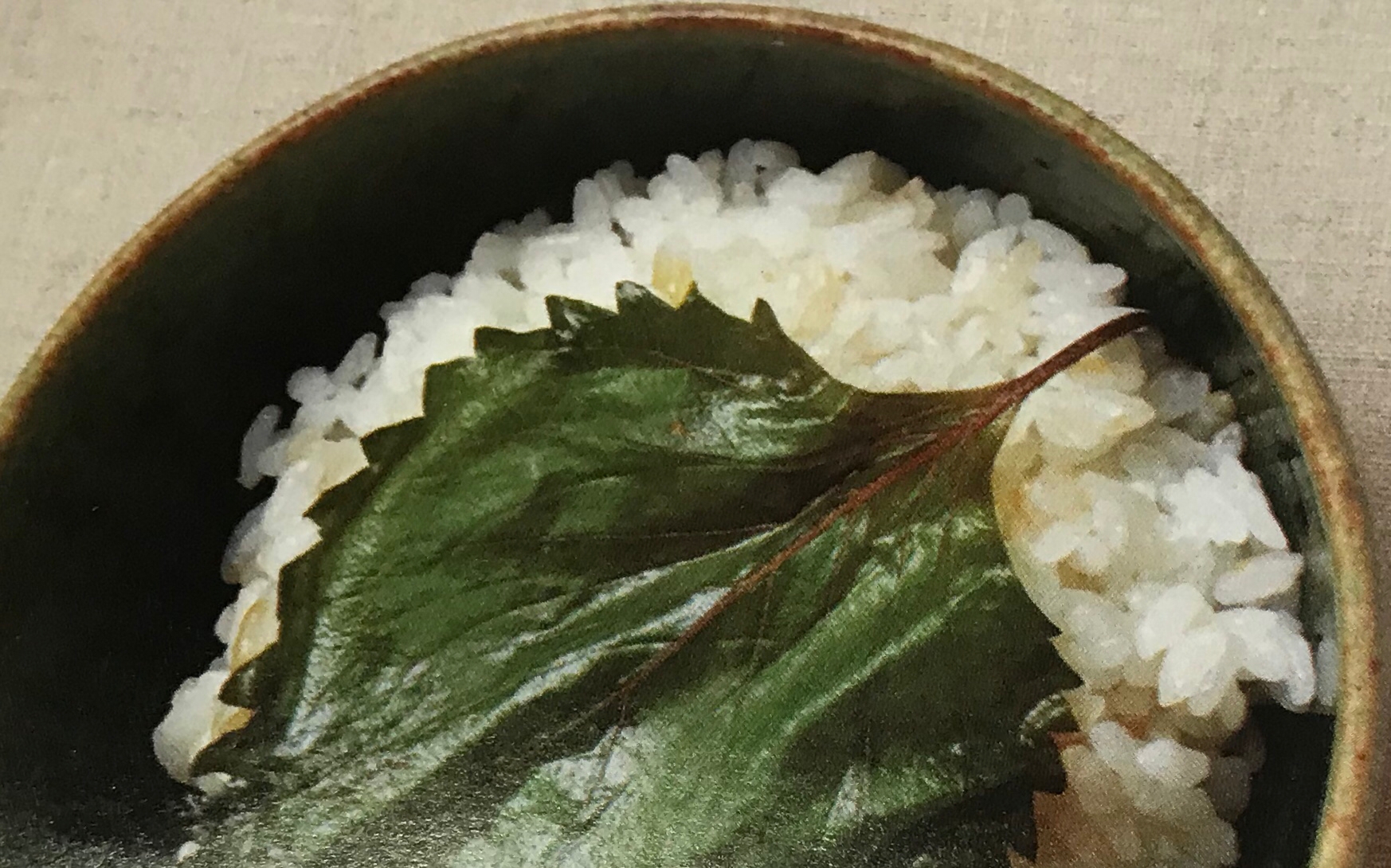 簡単★青しその醤油漬け❤ごはんにぴったり