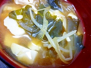 今日のお味噌汁 もやし わかめ 豆腐 玉ねぎ レシピ 作り方 By Megmako 楽天レシピ