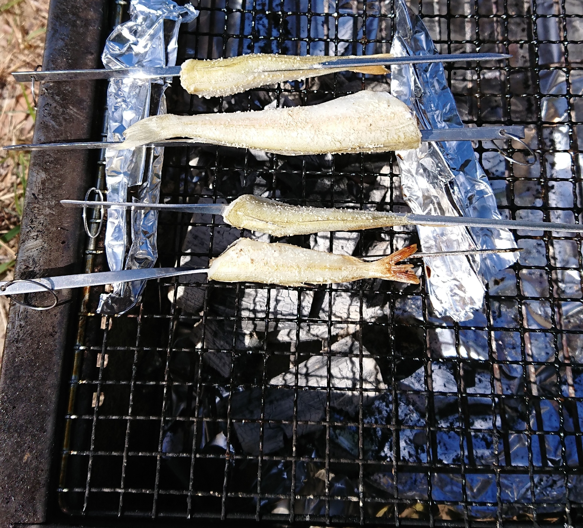 釣ってそのまま!キャンプでキスの塩焼き!