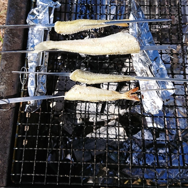 釣ってそのまま キャンプでキスの塩焼き レシピ 作り方 By ひろすけ 楽天レシピ 釣ってそのまま キャンプでキスの塩焼き レシピ 作り方 By ひろすけ 楽天レシピ