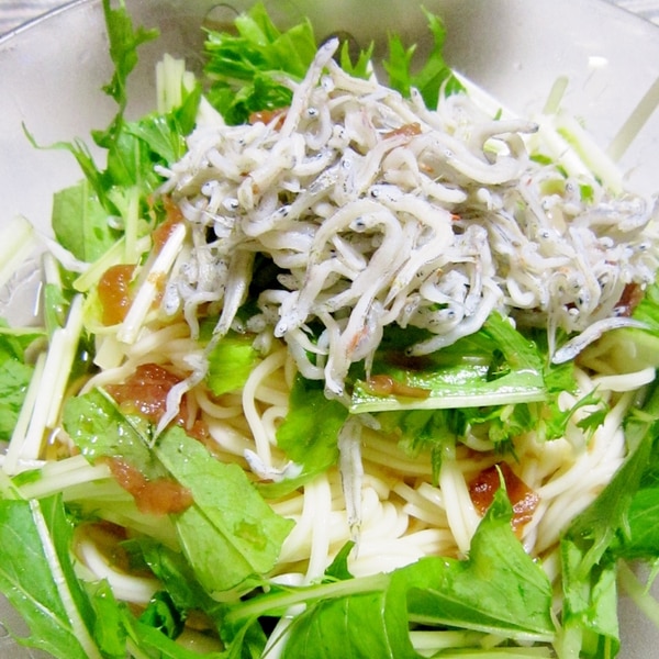 さっぱりうめ しらす水菜そうめん レシピ 作り方 By yamat 楽天レシピ さっぱりうめ しらす水菜そうめん レシピ 作り方 By yamat 楽天レシピ