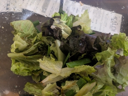 簡単混ぜるだけ韓国風チョレギサラダ