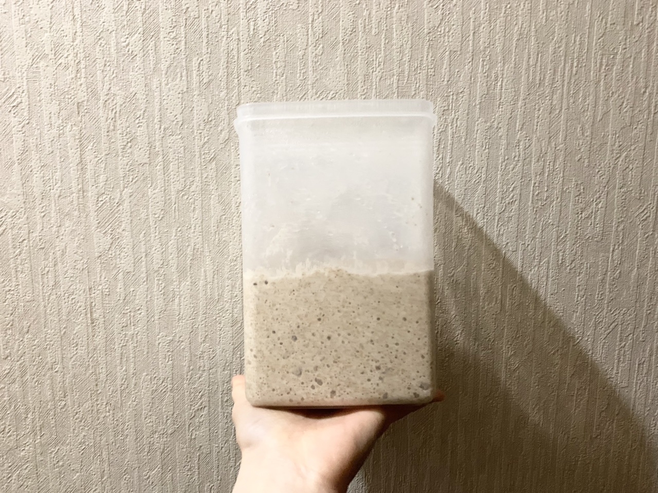 サワードウ サワー種 グラハム粉のサワードウ