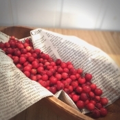 初夏の味 ジューンベリーのふんわりパウンドケーキ レシピ 作り方 By Mameko Kitchen 楽天レシピ