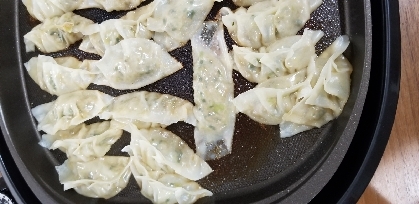 生姜たっぷり♪気まぐれ焼き餃子。