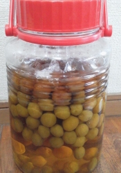 甘い小梅の漬け方 レシピ 作り方 By Ymdmc 楽天レシピ 甘い小梅の漬け方 レシピ 作り方 By Ymdmc 楽天レシピ