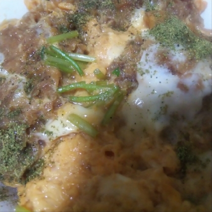 素朴！めんつゆでヒレカツ丼