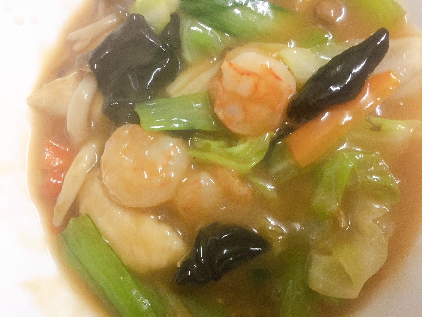 本格!五目あんかけ