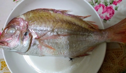 カボスde花鯛の焼き魚