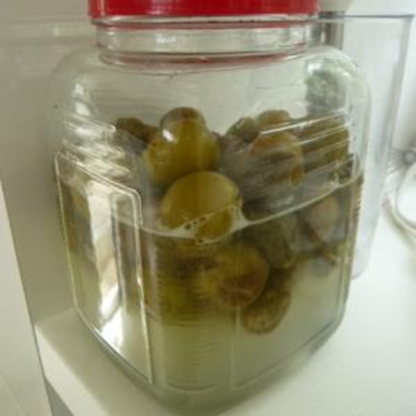 梅と砂糖で 梅ジュース レシピ 作り方 By Kumiko3 楽天レシピ 梅と砂糖で 梅ジュース レシピ 作り方 By Kumiko3 楽天レシピ