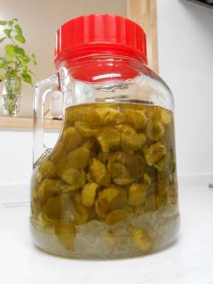 氷砂糖だけで簡単 夏にさっぱり梅ジュース レシピ 作り方 By Shiomis 楽天レシピ 氷砂糖だけで簡単 夏にさっぱり梅ジュース レシピ 作り方 By Shiomis 楽天レシピ