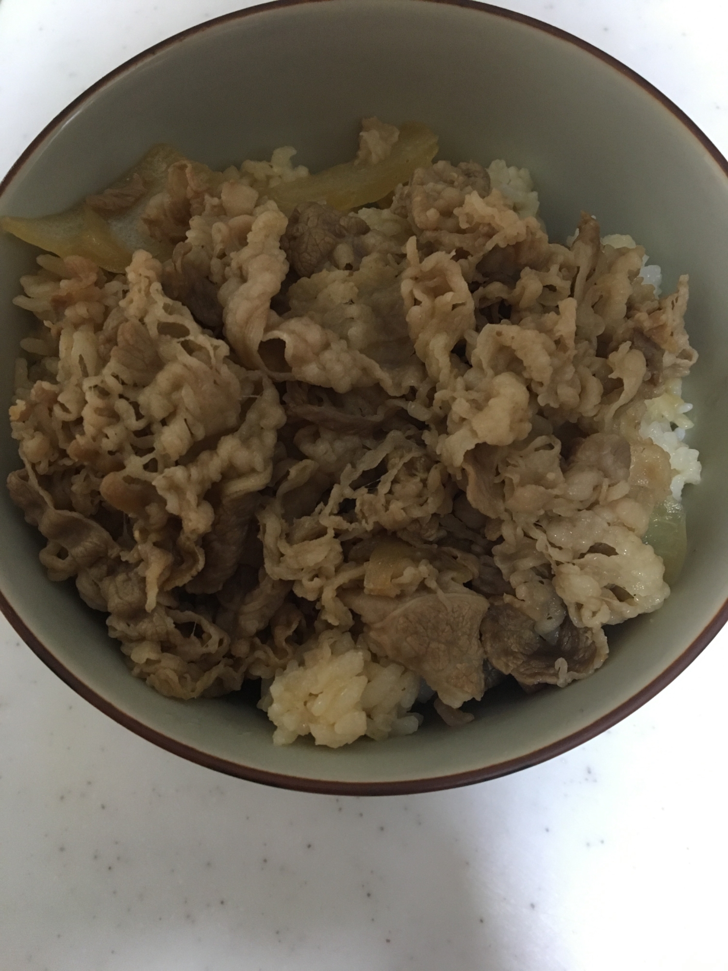 淡路玉葱の牛丼╰(*´︶`*)╯♡