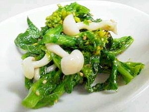 菜の花とブナピーのナムル レシピ 作り方 By 華樹波 楽天レシピ