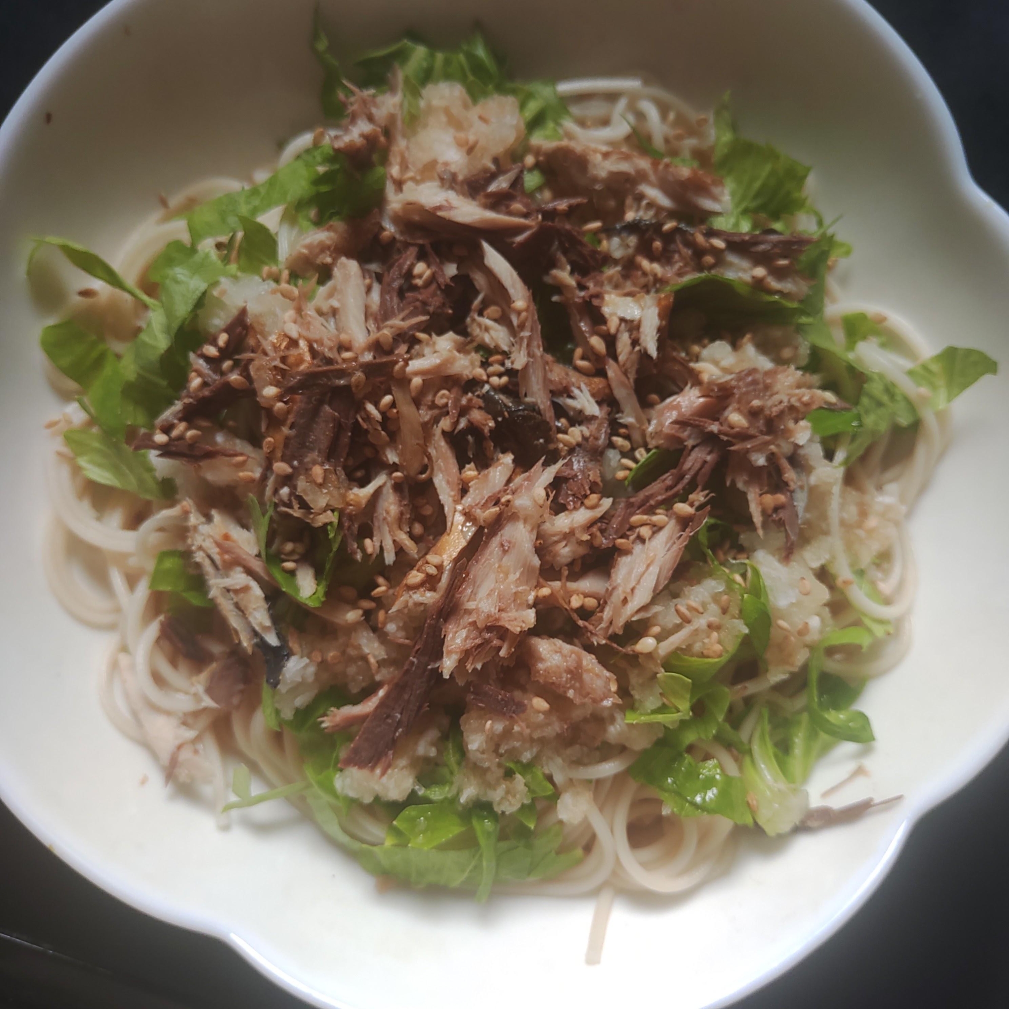 鯖、セロリ、おろしそうめん