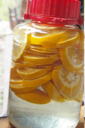 かなりすっぱい夏みかんの焼酎漬け