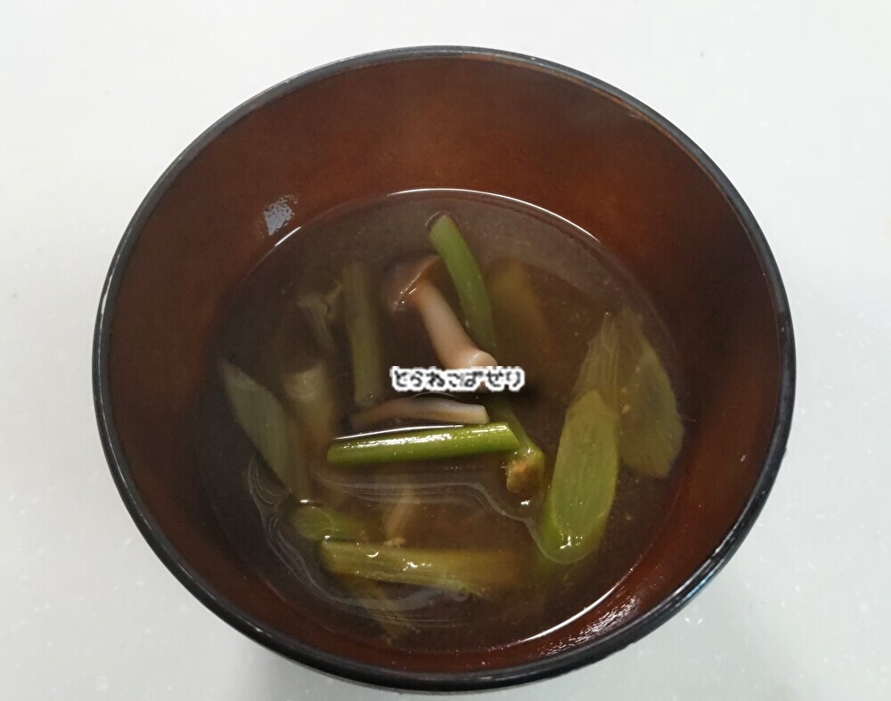 うど（独活）のお味噌汁