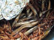 イカナゴの成魚 フルセ のくぎ煮 レシピ 作り方 By Middo 楽天レシピ イカナゴの成魚 フルセ のくぎ煮 レシピ 作り方 By Middo 楽天レシピ