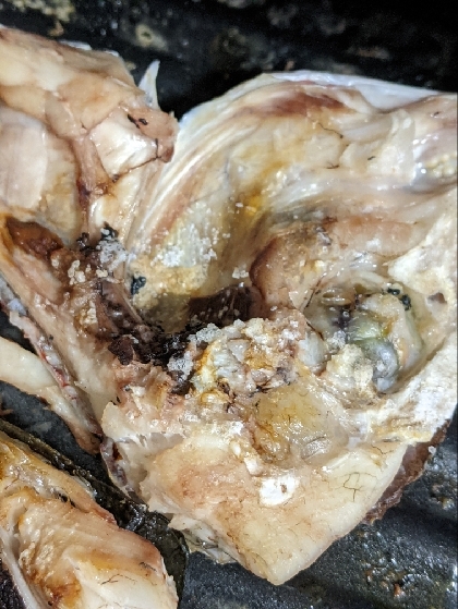 オーブンで♪簡単過ぎる鯛アラの塩焼き