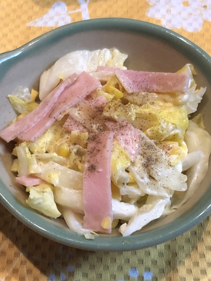 白菜の消費をしたくて作りました。白菜で作るコールスローも美味しいですね。
また作ります(*￣▽￣*)ノ