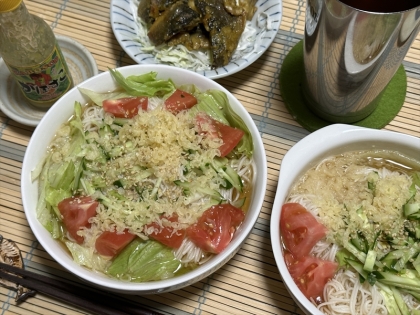 2束なはずなのになんだか膨大に！予め用意しておいたお野菜をぎゅっぎゅと詰めたりまぶしたりで、いまいち不細工。でもしゃきしゃき野菜とお素麺、さらっと食べたよゴチ様