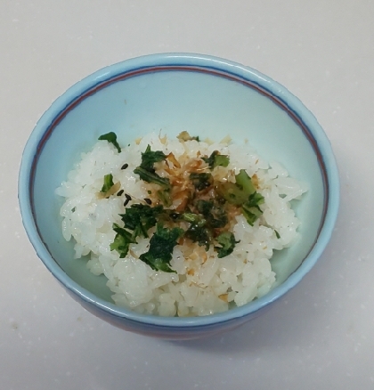 青菜（広島菜）の漬物と鰹節とごまのせご飯