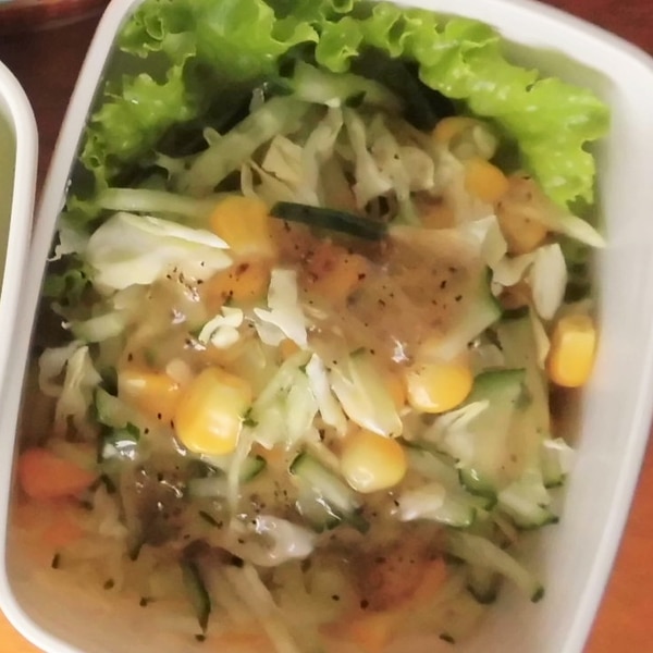 お弁当のおかず 塩だれジュレドレッシングサラダ レシピ 作り方 By R Chibico 楽天レシピ お弁当のおかず 塩だれジュレドレッシングサラダ レシピ 作り方 By R Chibico 楽天レシピ