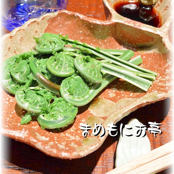 春の味覚 新鮮だからこそ こごみの茹で方とお刺身 レシピ 作り方 By まめもにお 楽天レシピ 春の味覚 新鮮だからこそ こごみの茹で方とお刺身 レシピ 作り方 By まめもにお 楽天レシピ