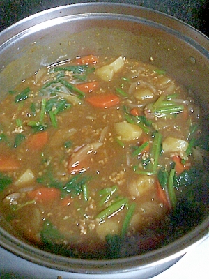 野菜たっぷりほうれん草カレー