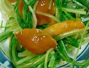 和食の一品 水菜となめこのポン酢和え レシピ 作り方 By Mama6138 楽天レシピ 和食の一品 水菜となめこのポン酢和え レシピ 作り方 By Mama6138 楽天レシピ