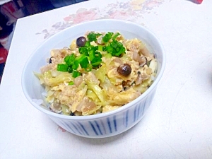 キャベそぼろ丼