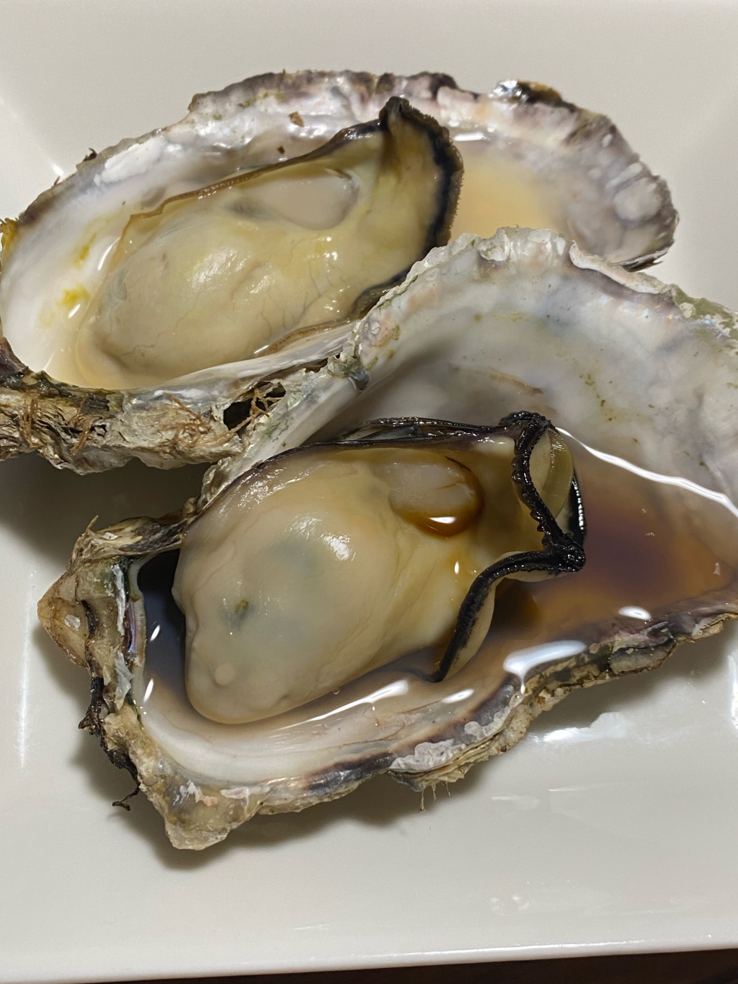 超簡単　ホットプレートで、蒸し焼き牡蠣