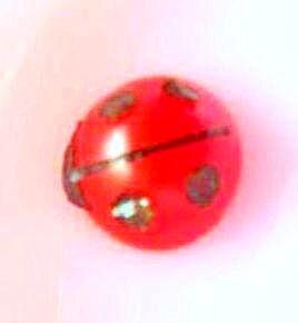 超 簡単 プチトマトでてんとうむしさん レシピ 作り方 By Rarha1225 楽天レシピ 超 簡単 プチトマトでてんとうむしさん レシピ 作り方 By Rarha1225 楽天レシピ