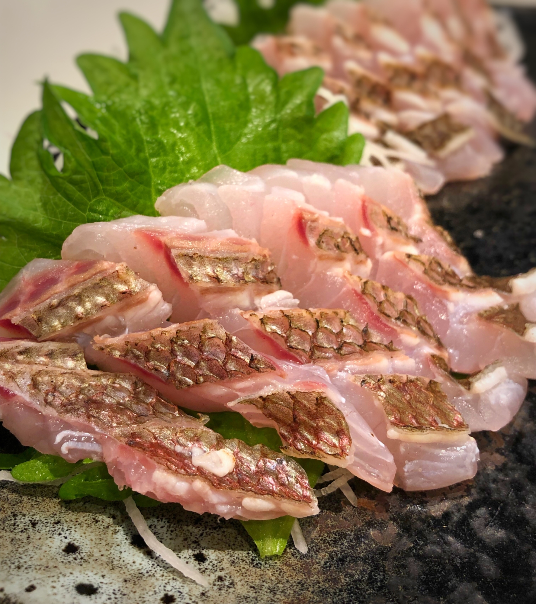 男飯 コリコリ食感 鯛 真鯛 黒鯛 の炙り レシピ 作り方 By Midomaru Recipe 楽天レシピ 男飯 コリコリ食感 鯛 真鯛 黒鯛 の炙り レシピ 作り方 By Midomaru Recipe 楽天レシピ