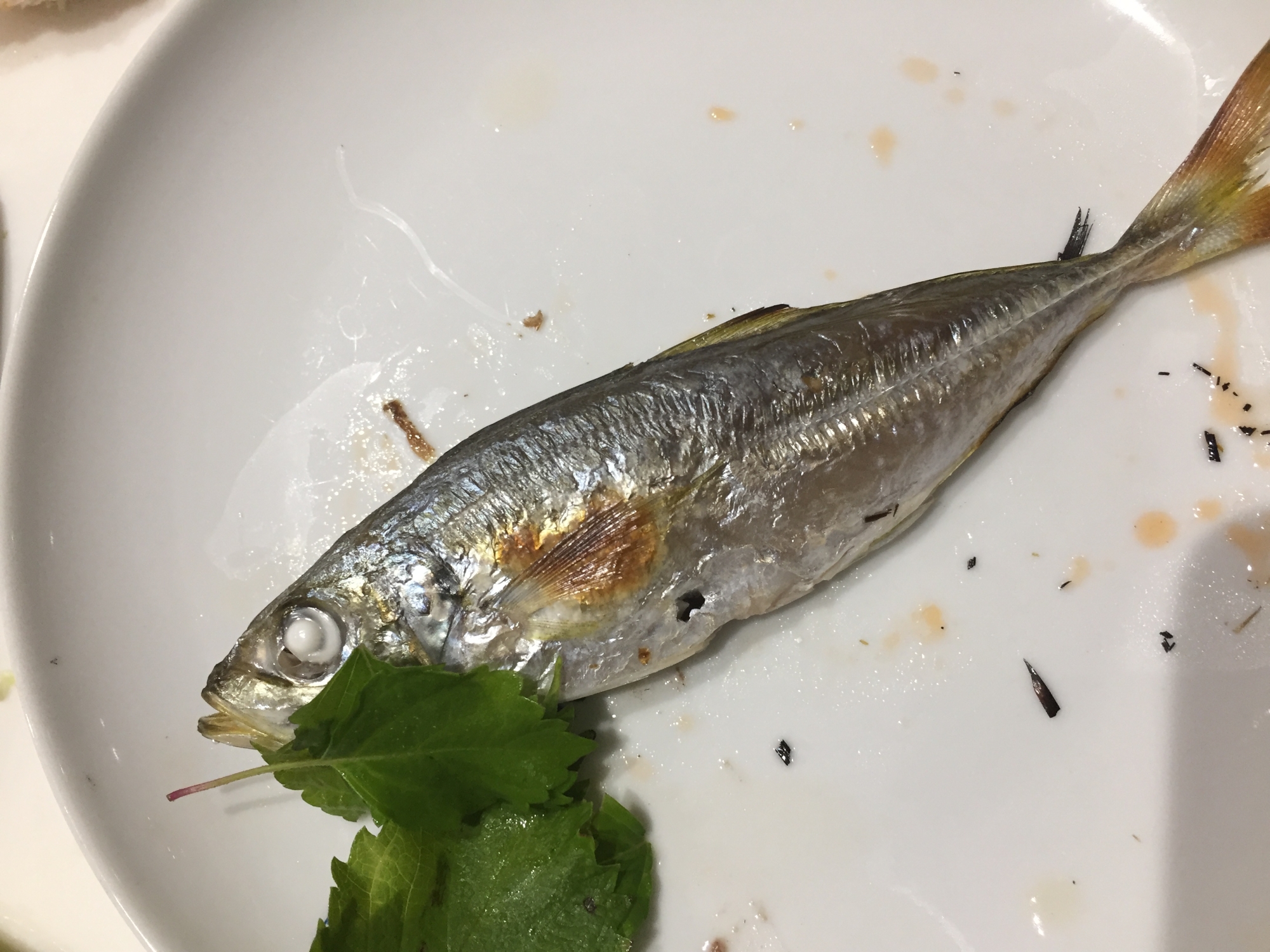 青じそとフライパン焼きの丸アジ レシピ 作り方 By へんてこへんてこママ 楽天レシピ 青じそとフライパン焼きの丸アジ レシピ 作り方 By へんてこへんてこママ 楽天レシピ