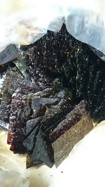おつまみに 焼き海苔炒め レシピ 作り方 By ひかりmam 楽天レシピ