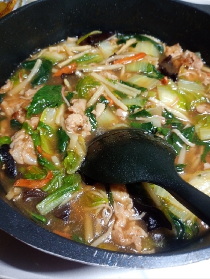 野菜たっぷりかさ増しでも美味しく出来ました♪