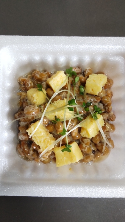 厚焼き玉子とカイワレ大根のわさび納豆