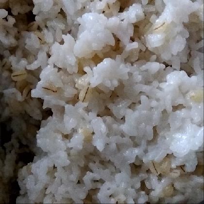 糖質カットの発芽玄米もち麦ご飯　湯取り法で失敗なし
