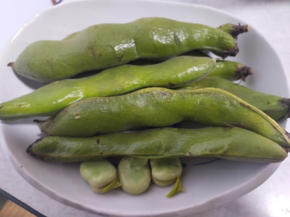 何も洗い物が出ないのがいいです。お豆はホクホクでおいしくこれからもこの方法で食べたいです(*^^*)