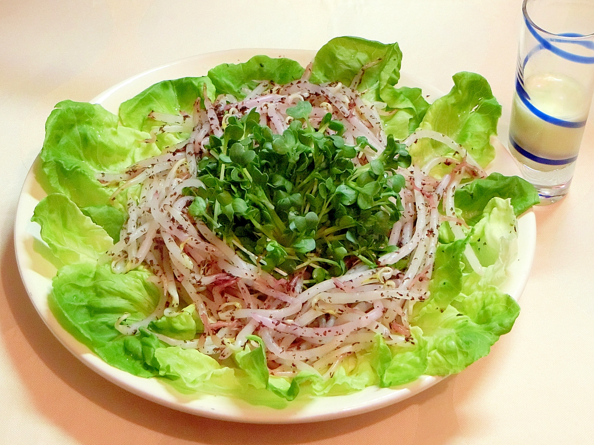 もやしとカイワレの給料前サラダ